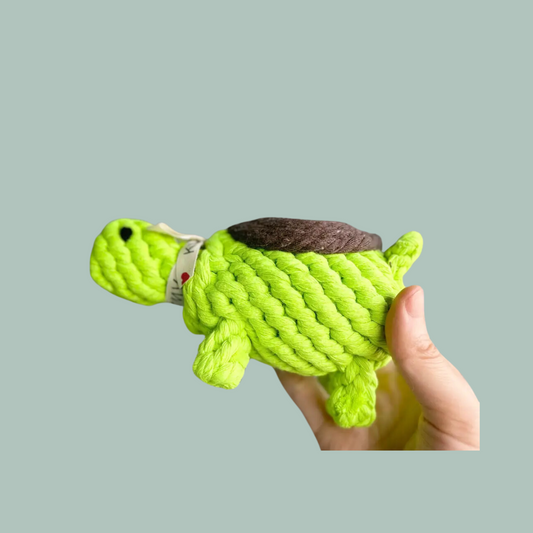 Eco-Turtle Dog Rope Toy