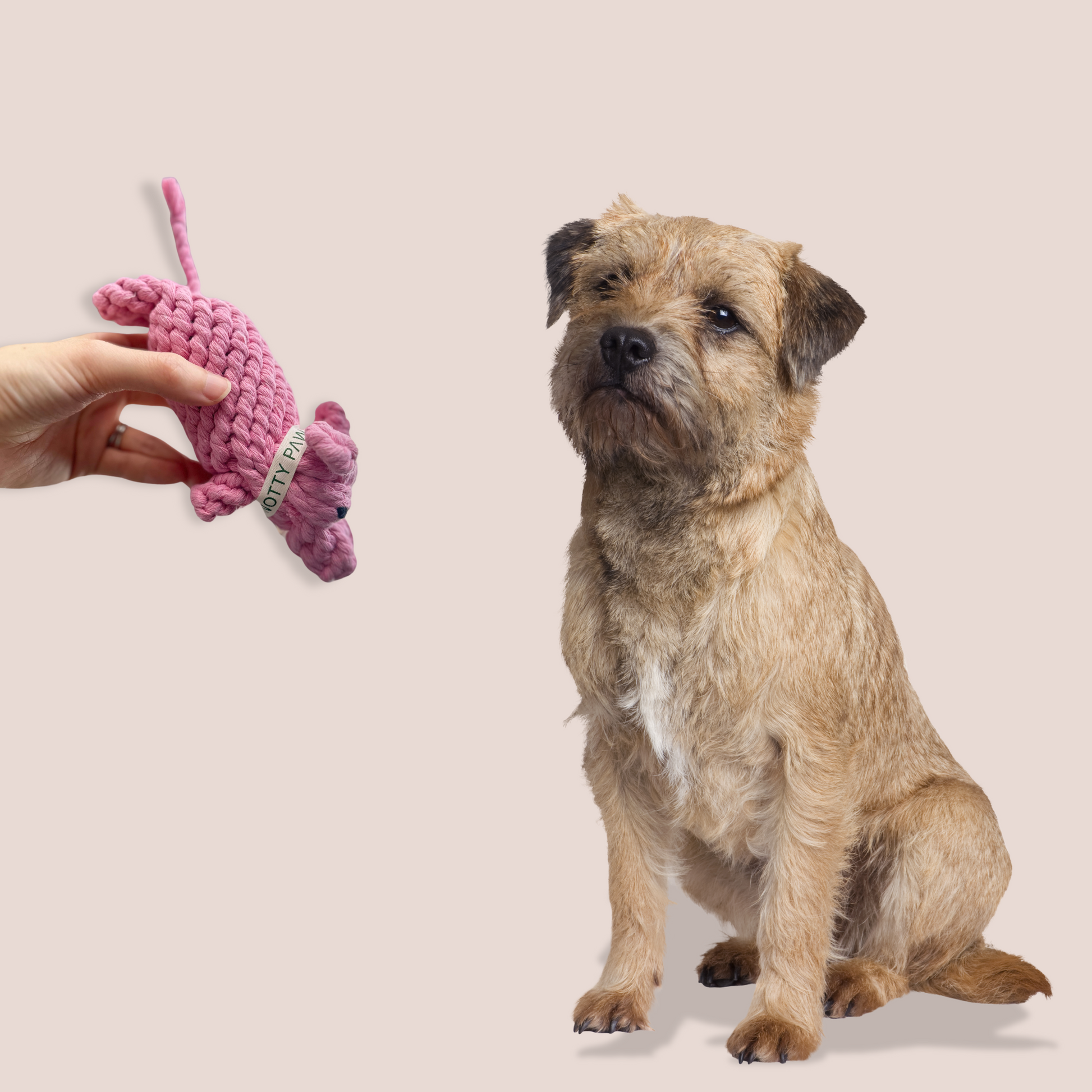 Bubblegum Knot Handwoven Dog Rope Toy - A durable, handwoven rope toy in a playful bubblegum color. Designed with sturdy knots, this toy is perfect for chewing, tugging, and interactive play, offering long-lasting fun for your dog.