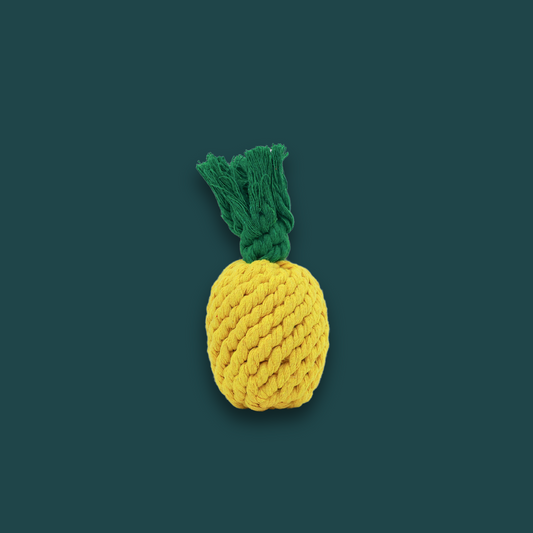 Handmade Small Pineapple Rope Toy