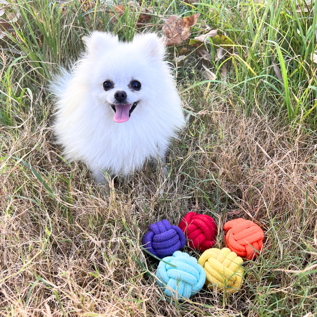 Colorful woven cotton rope pet toy, perfect for chewing and playing. Durable and safe for pets, provides hours of fun and helps maintain dental health.