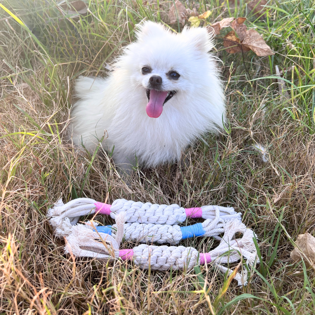 Colorful candy cotton rope woven pet toys, bringing joy and fun to your furry friends!