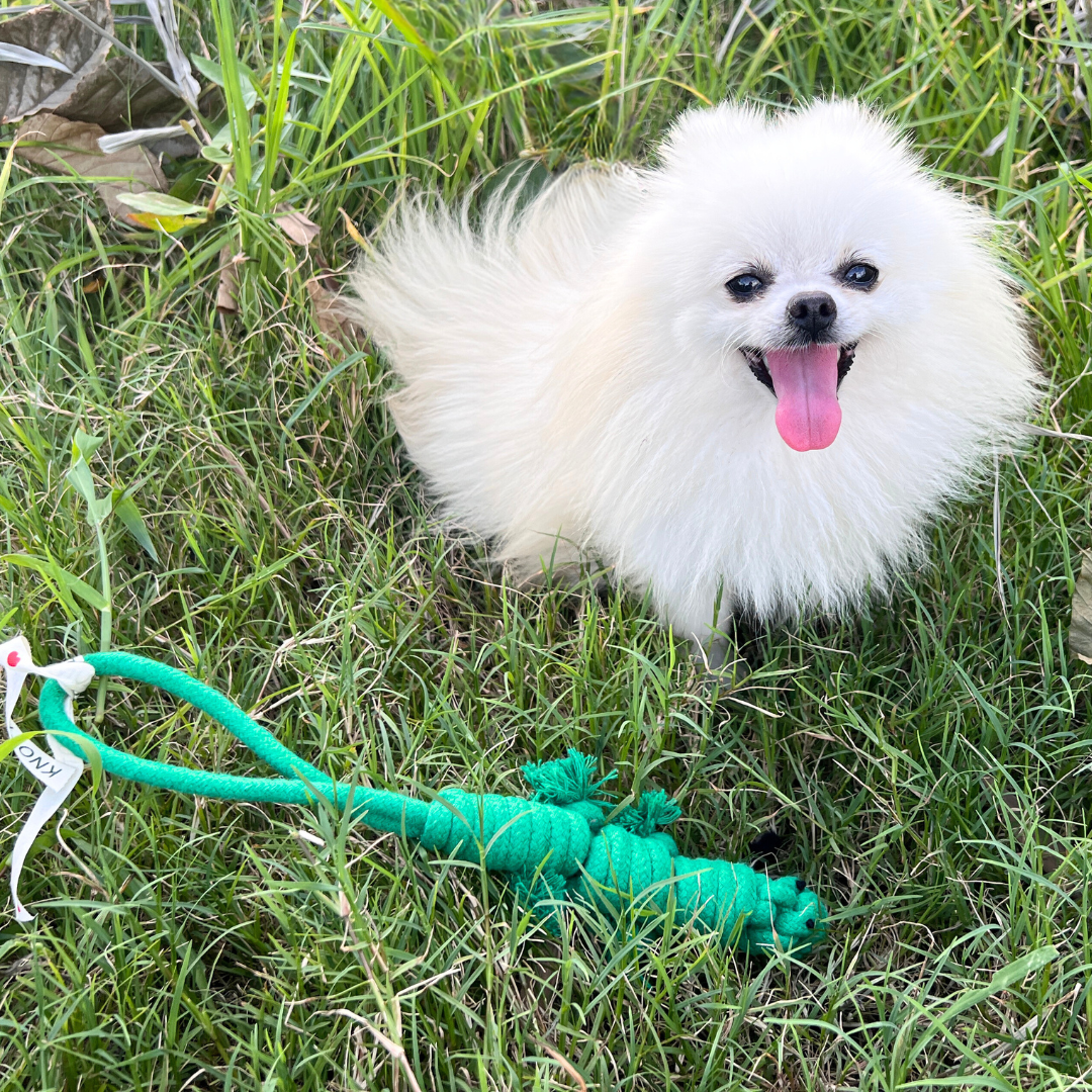 Handmade green lizard pet toy made from durable cotton rope, perfect for small to medium-sized pets. Safe, non-toxic materials ensure fun and exercise for your furry friend.