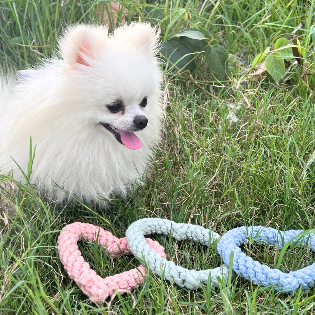 Adorable pet toys handwoven with love using cotton ropes. Fun and safe for your furry friends!