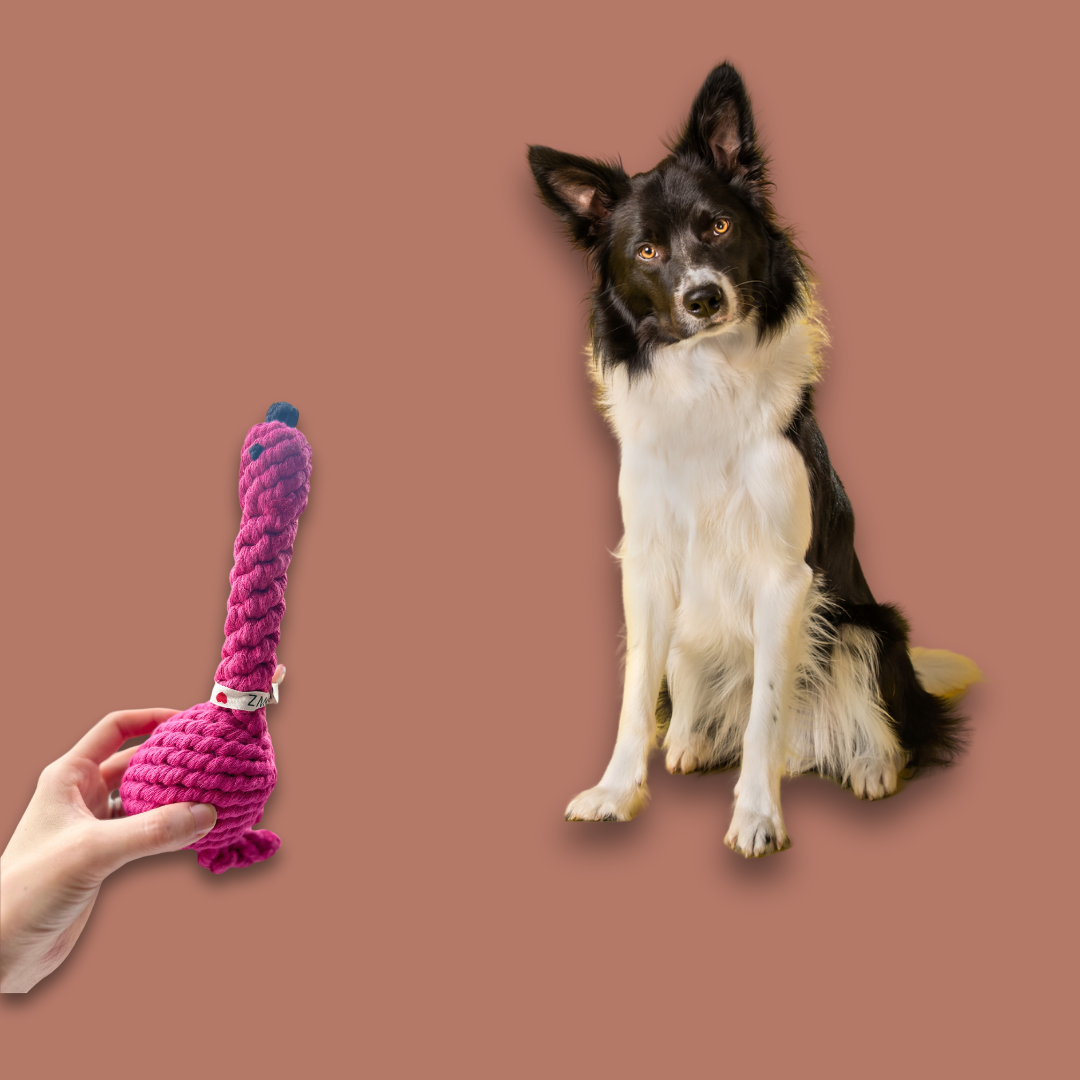 Flamingo Rope Dog Toy - A vibrant, flamingo-shaped dog toy made from durable rope. Perfect for chewing, tugging, and interactive play, this colorful toy provides hours of fun and stimulation for your pet.