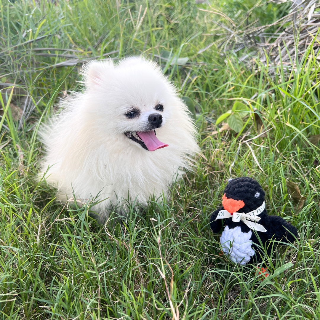 Colorful penguin-shaped pet toy made from durable cotton rope, perfect for chewing and playing. Safe and fun for dogs of all sizes. Eco-friendly and non-toxic.