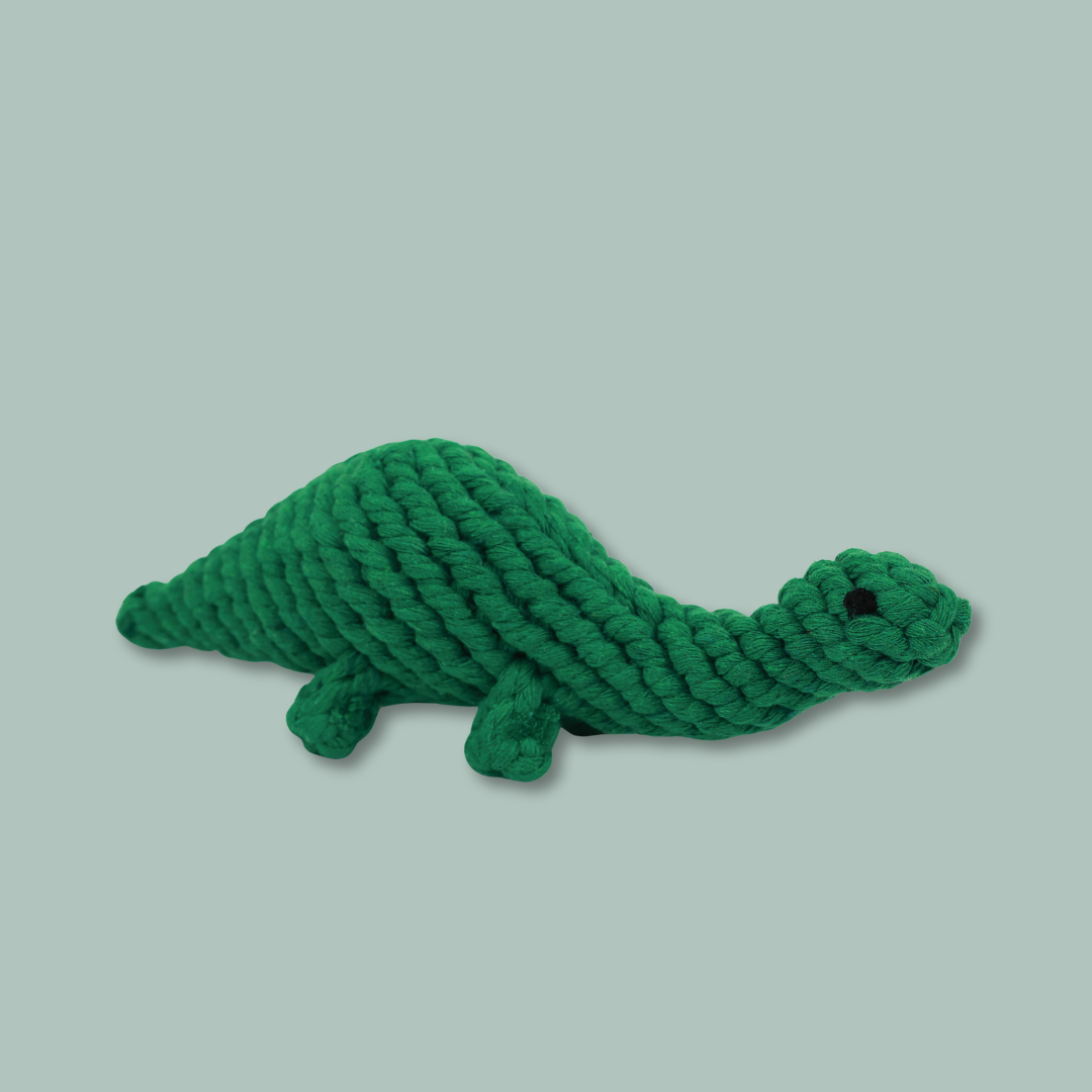 Green dinosaur-shaped pet toy handwoven with cotton rope. Fun and durable for your furry friends.