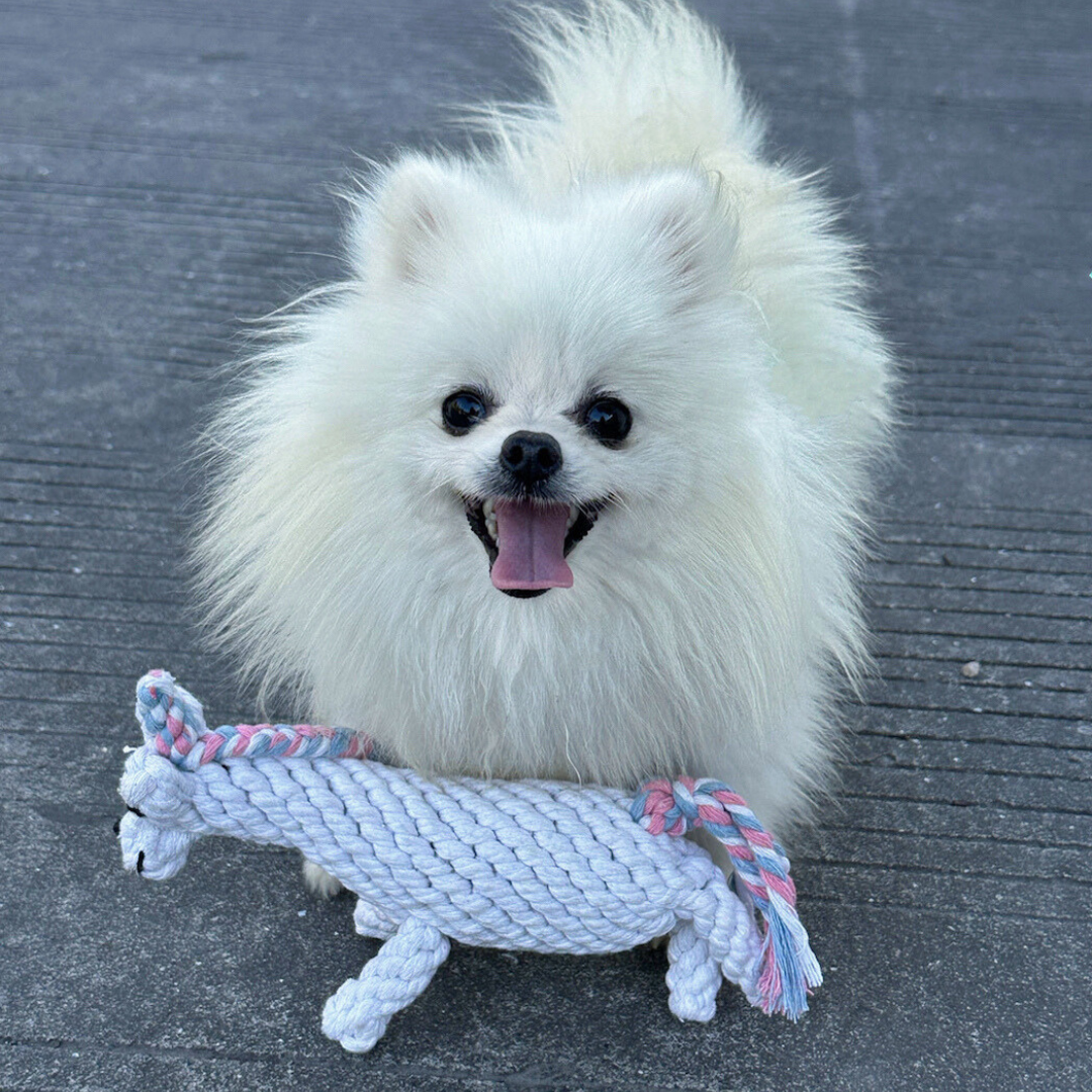 Colorful unicorn cotton rope woven pet toy, ideal for interactive play and chewing, suitable for small to medium-sized pets.