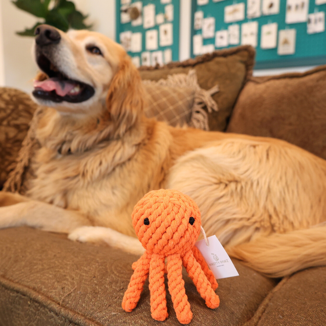 octopus-shaped pet toy made from durable cotton rope, perfect for chewing and interactive play, promoting dental health and providing hours of entertainment for dogs.