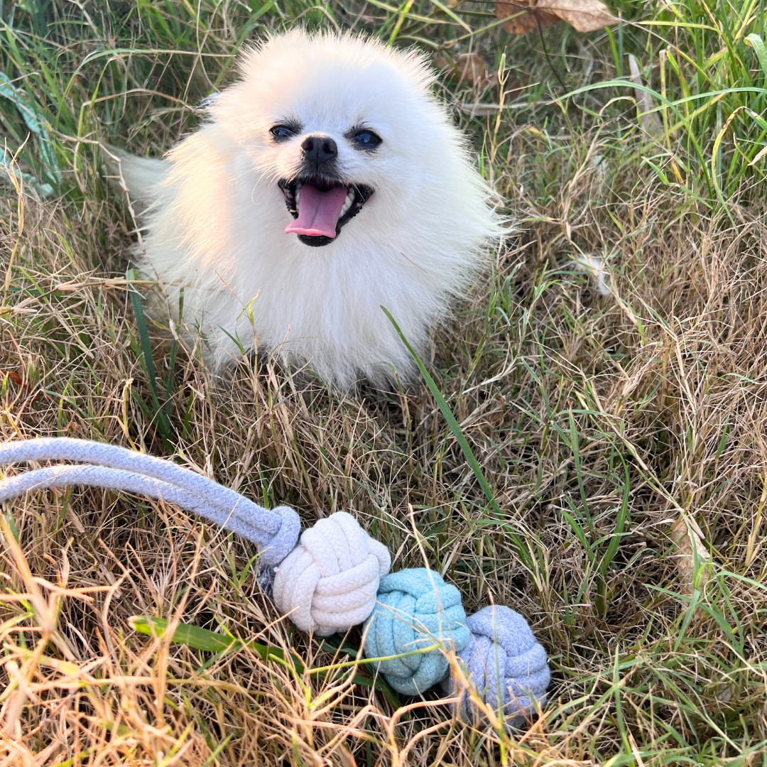 Three-knot cotton rope woven pet toy for interactive play