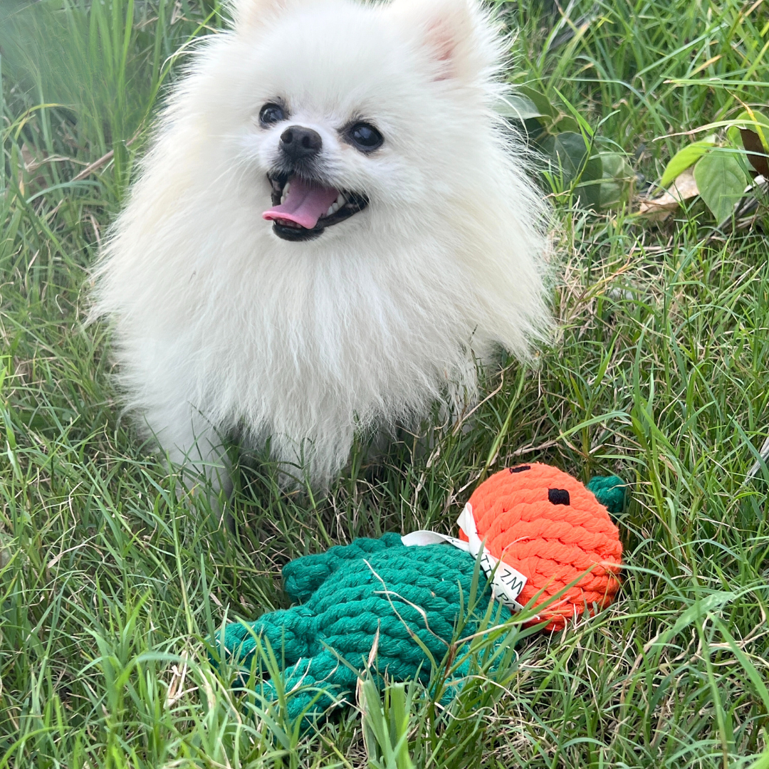 Front view of a pumpkin baby pet toy made from durable, renewable cotton rope, perfect for chewing and playtime