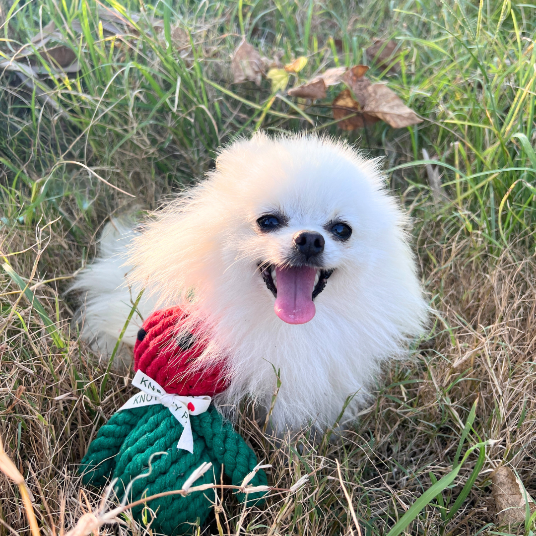 soft, colorful yarn. Perfect for cats and small dogs to play and cuddle. Ideal for pet owners seeking unique, handmade pet accessories.