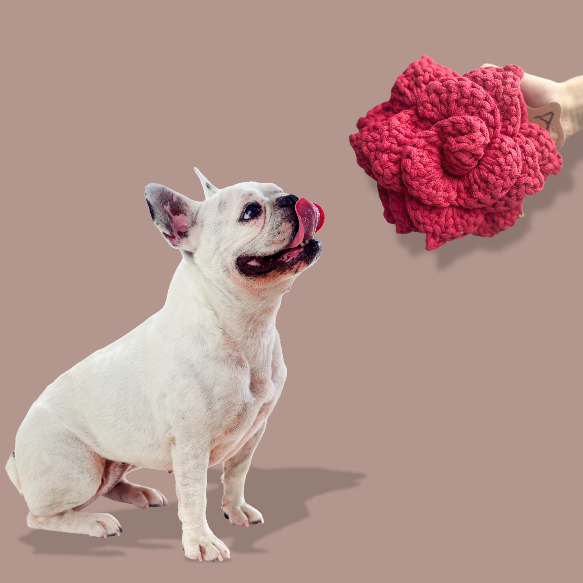 Holiday Flower Knot Dog Toy - A festive, flower-shaped dog toy with intricate knot details, perfect for chewing, tugging, and interactive play. Made from durable materials, this toy adds a touch of holiday cheer to your pet’s playtime.