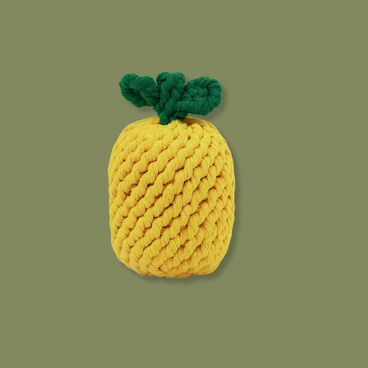 A pineapple-shaped pet toy made from durable cotton rope, perfect for chewing and interactive play, promoting dental health and keeping pets entertained.