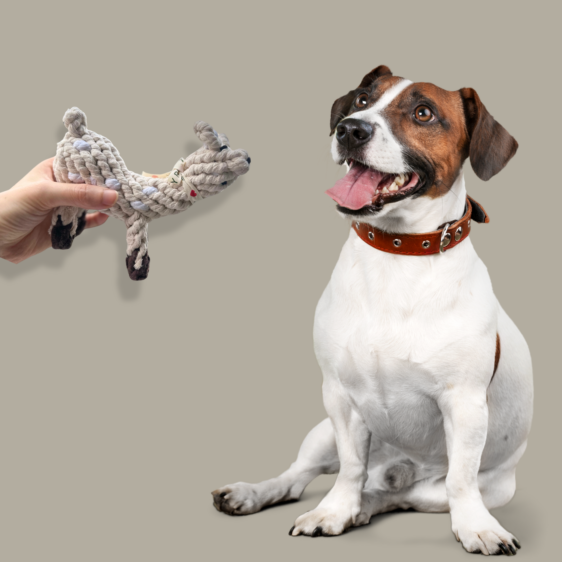 Llama Love Rope Toy - Knotty Pawz Collection: A charming, llama-shaped rope toy from the Knotty Pawz Collection. Designed for durability, this toy is perfect for chewing, tugging, and interactive play, offering engaging fun for your pet.