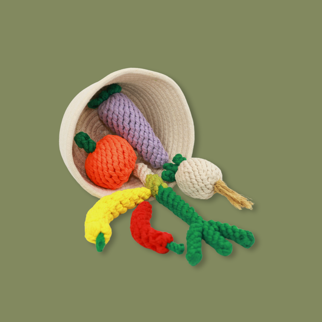 Hand-woven pet toy from our vegetable fiber series, designed for eco-conscious owners seeking durable, sustainable products that promote natural play and wellness for their pets.