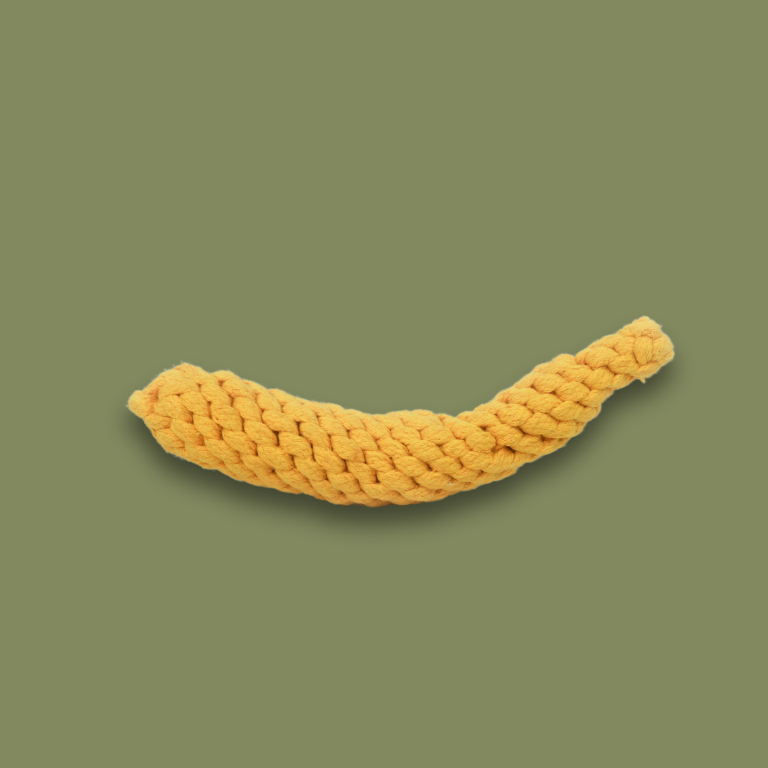 Colorful fruit-themed woven pet toy collection, perfect for playful pets. Includes durable, handmade toys shaped like strawberries, bananas, and pineapples, ensuring hours of fun and exercise for your furry 