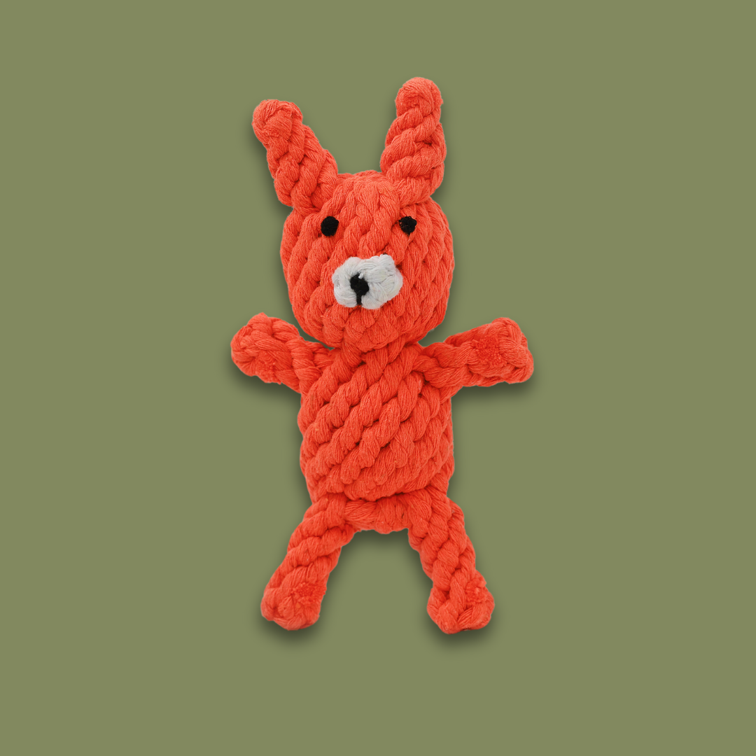 Special Gift for Dogs: Handmade Eco-Fox Chew Rope Toy - A charming, handcrafted dog toy shaped like a fox, made from eco-friendly materials. Perfect for chewing and interactive play, with a durable design that combines sustainability and fun.