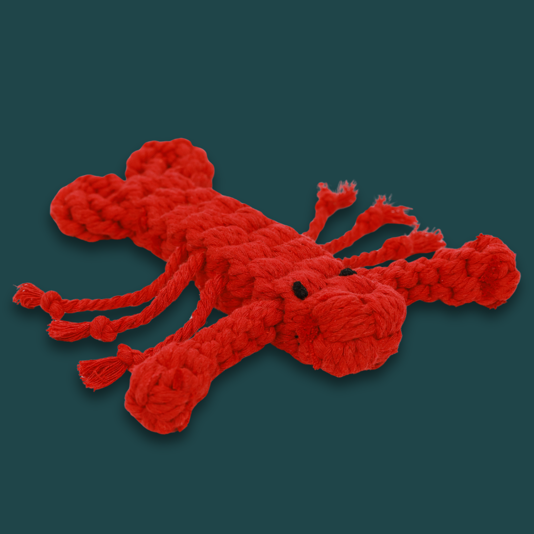 Special Gift for Dogs: Rose the Lobster Plush Toy - A cute, soft lobster-shaped dog toy with bright red fabric and stitched details, designed for playful fun and comfort.