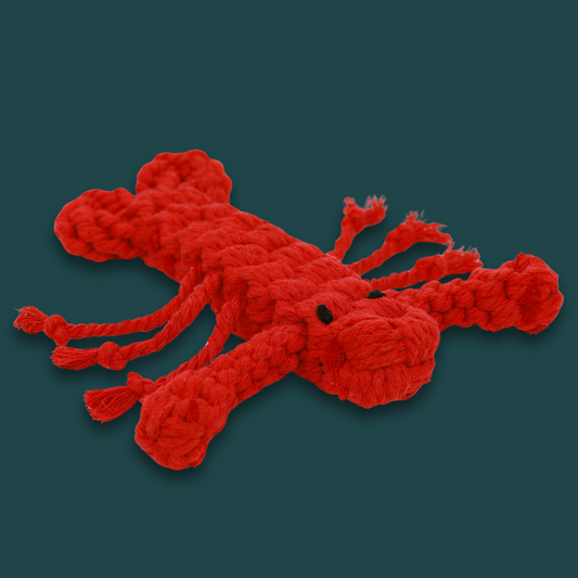 Special Gift for Dogs: Rose the Lobster Plush Toy - A cute, soft lobster-shaped dog toy with bright red fabric and stitched details, designed for playful fun and comfort.