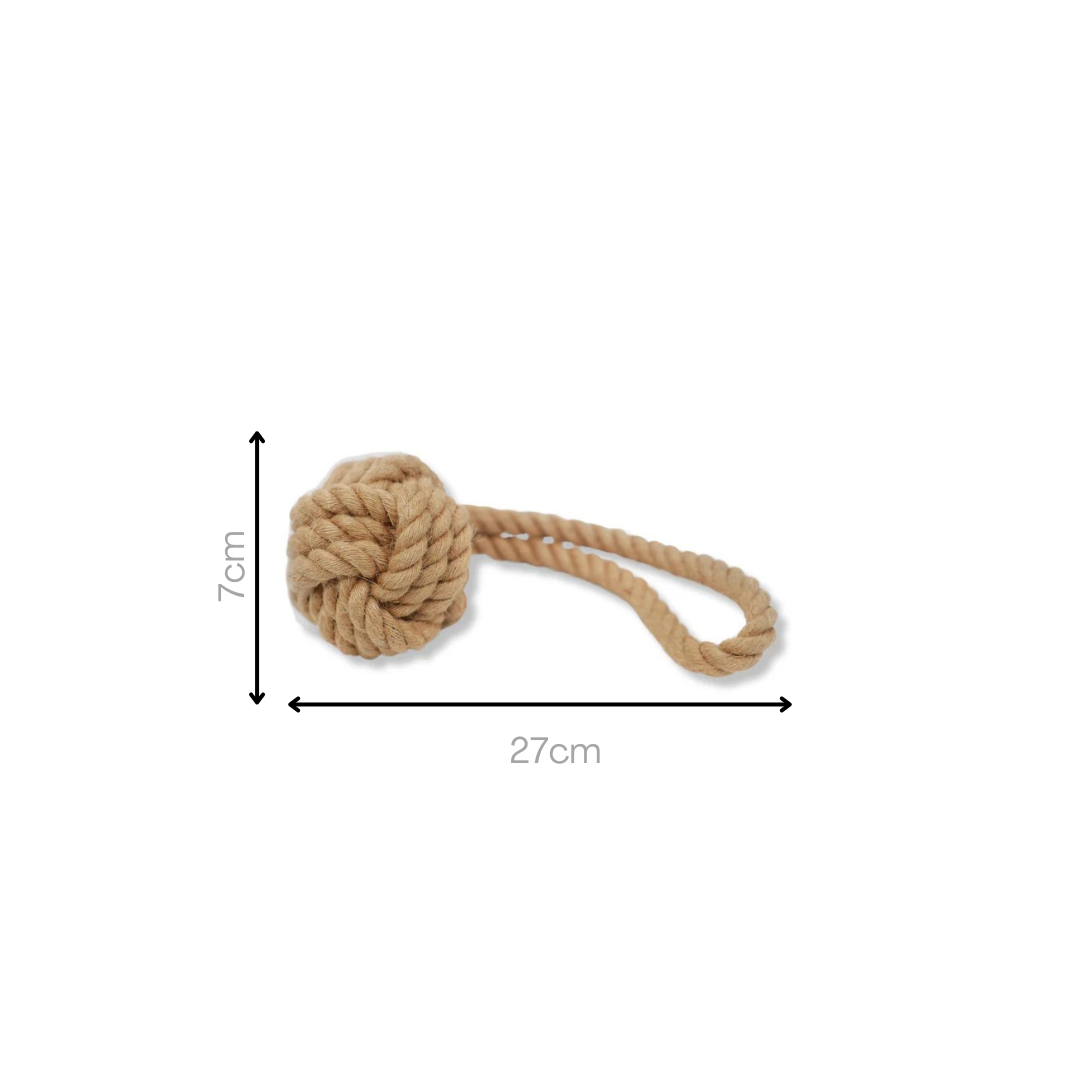 Colorful textured pet toy ball with handle, perfect for interactive play and exercise for dogs and cats. Durable and safe for chewing.