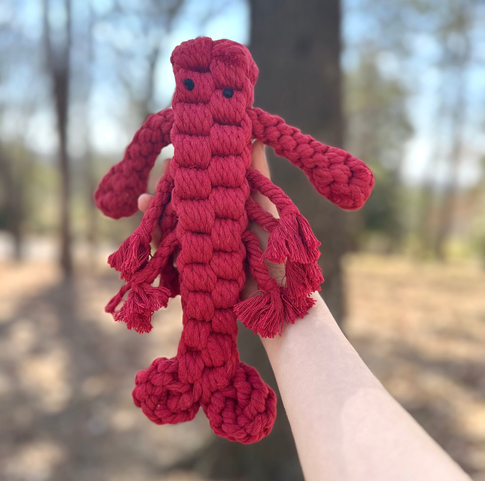 Rose the Lobster Pet Rope Toy - A playful, lobster-shaped dog toy made from durable rope material. Its vibrant colors and sturdy design make it perfect for chewing, tugging, and interactive play.