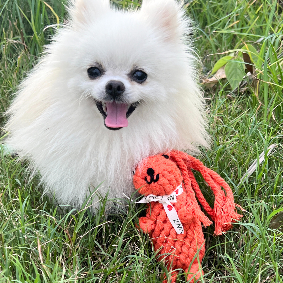 Squirrel-shaped cotton rope pet toy, perfect for chewing and playing. Helps maintain dental health and provides endless fun for your furry friend.