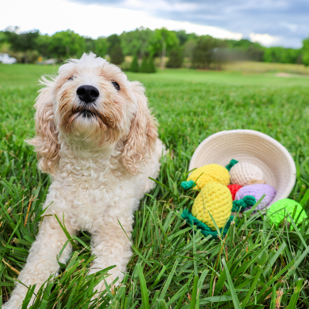 The vegetable series cotton rope woven pet toys are a delightful set. Crafted with care, they feature various vegetable shapes. Made of soft cotton rope, they're safe for pets. Provide fun and exercise.