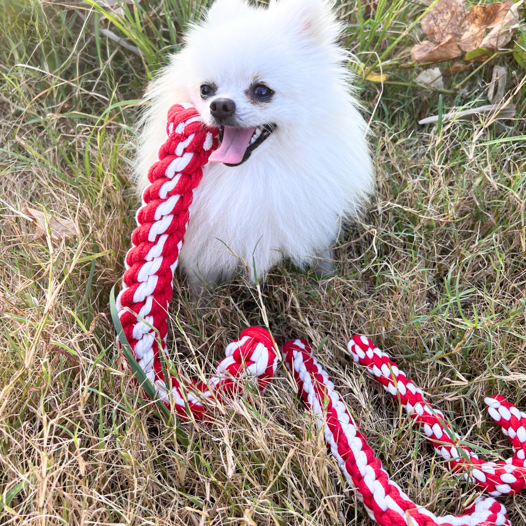 Front view of Christmas candy cane pet toy made of woven cotton rope, perfect for pets to chew and play during the holiday season