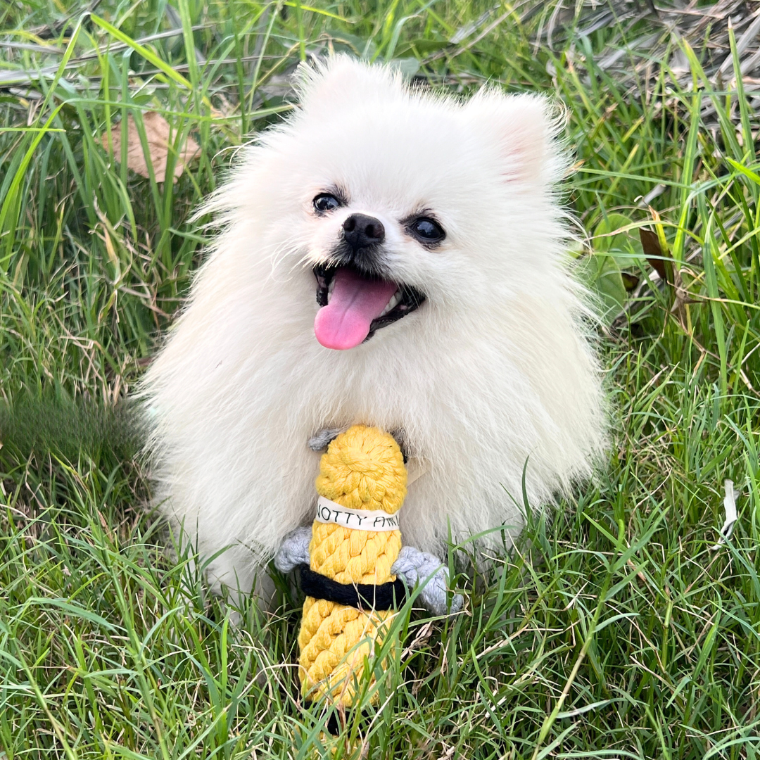 Bee-shaped cotton rope woven pet toy, perfect for chewing and playing. Durable and safe for pets, providing hours of entertainment and promoting dental health.