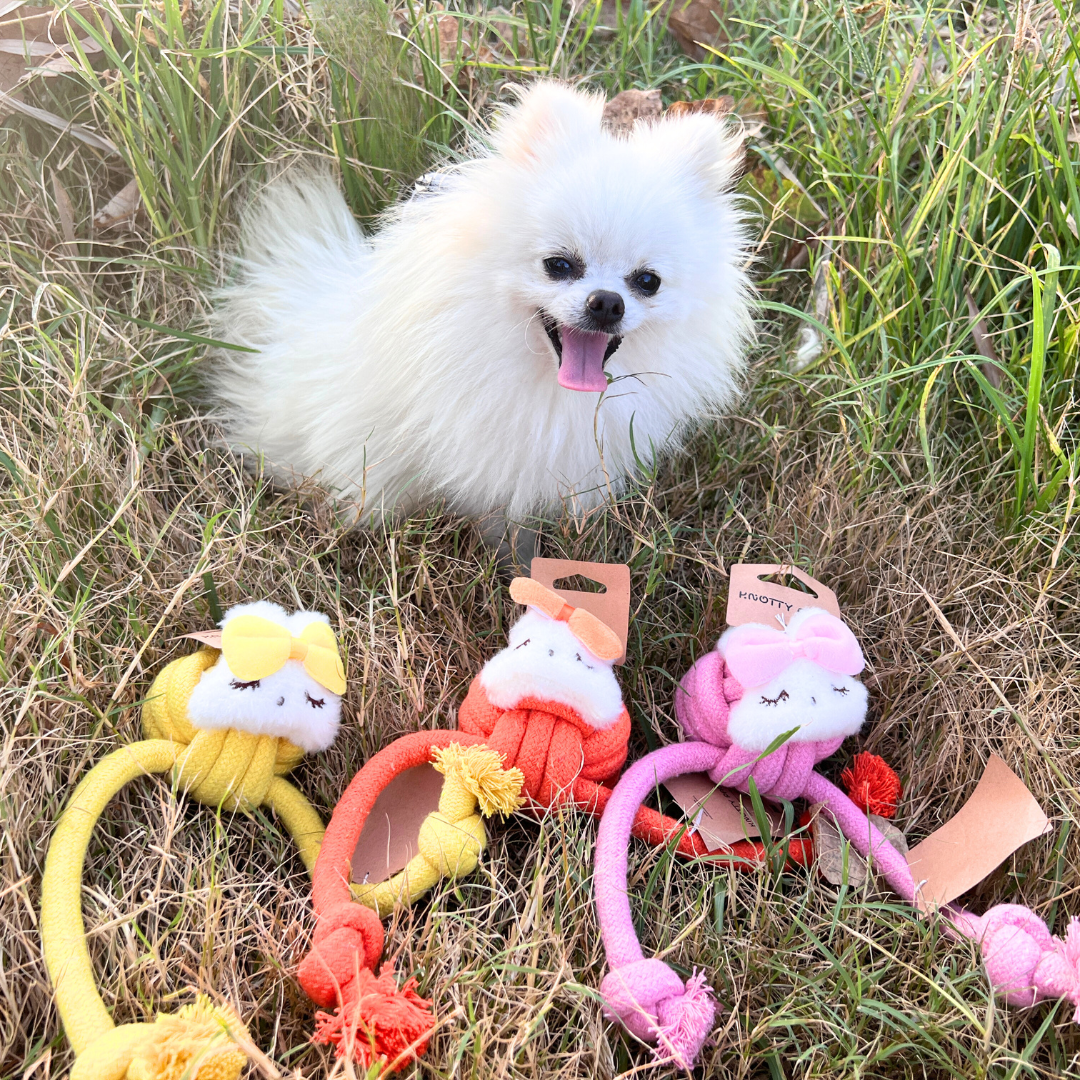 Colorful woven cotton rope pet toy for dogs, durable and fun for playtime.