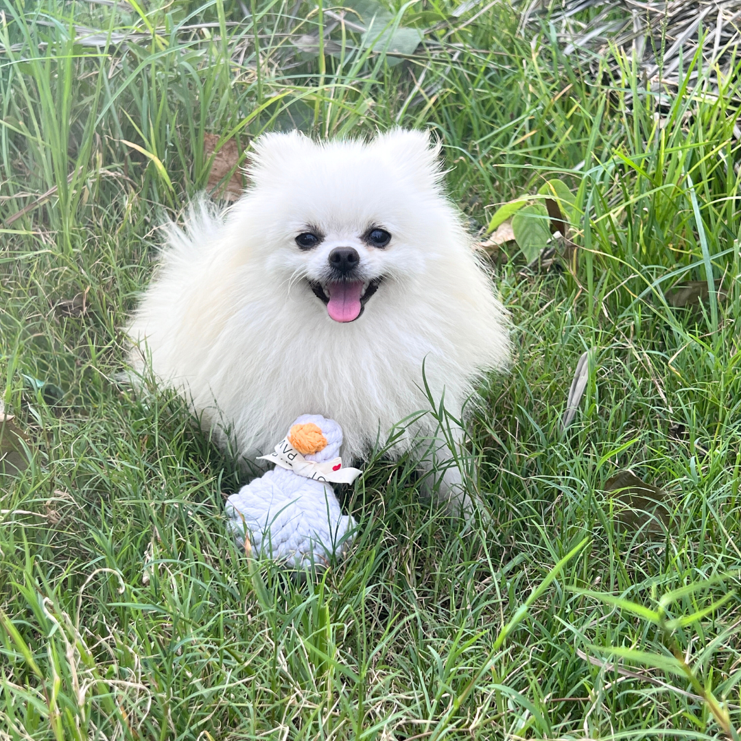 Side view of a white duck pet toy, intricately woven from durable cotton rope, designed for pets to play and chew.