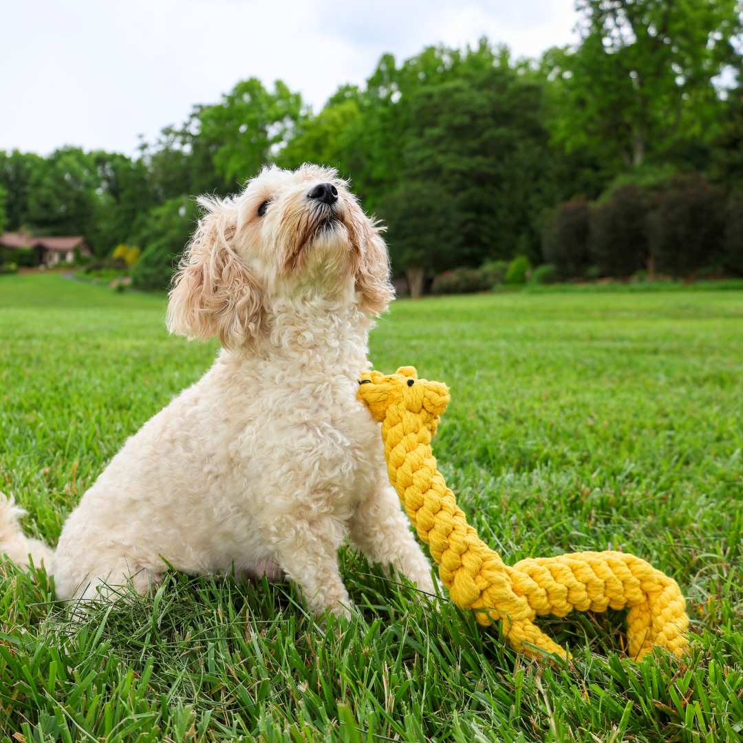 Handcrafted yellow giraffe pet toy made from durable cotton rope. Ideal for chewing, tugging, and interactive play. Safe for pets, promotes dental health, and provides hours of fun. Perfect for dogs and puppies.