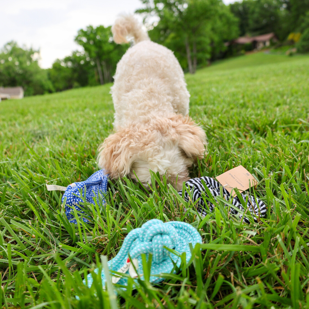 Soft cotton rope woven pet toy for playtime. Ideal for your furry friends! Comfy and fun.