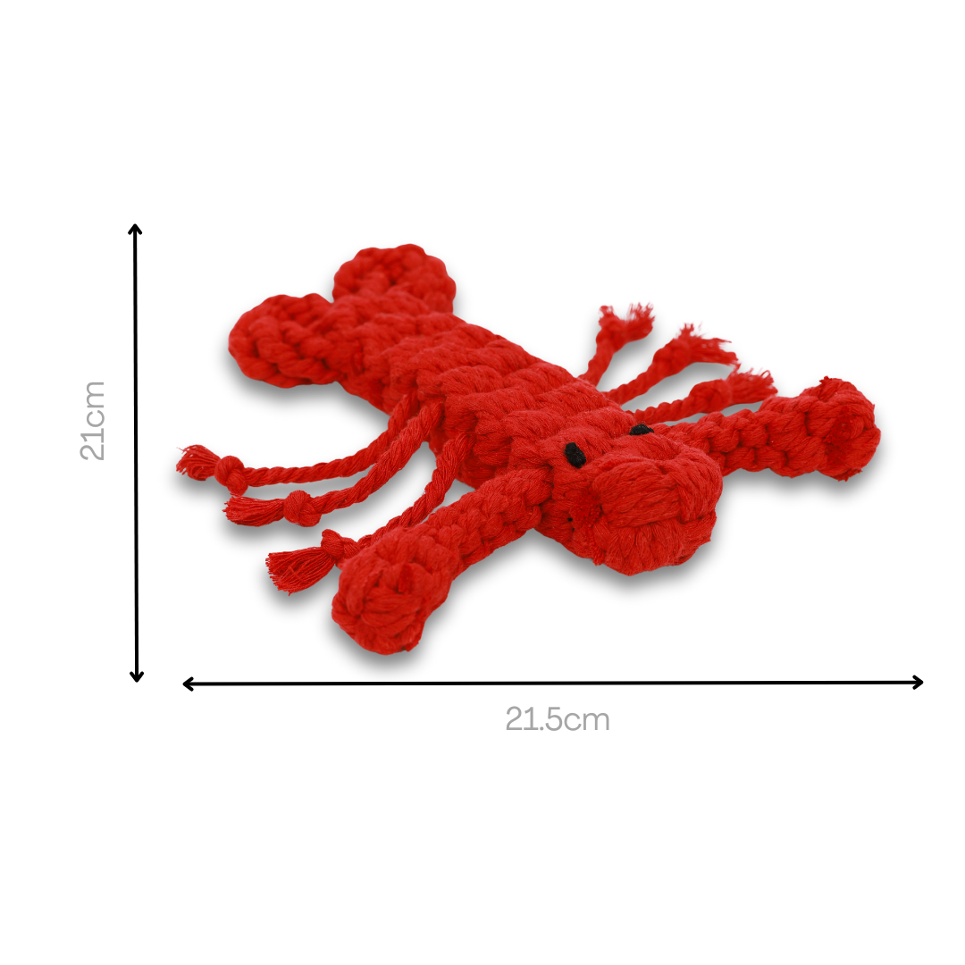 Sustainable Rose the Lobster Pet Dog Rope Toy - A durable, eco-friendly lobster-shaped dog toy made from sustainable materials, featuring a colorful rope design for interactive play and dental health.