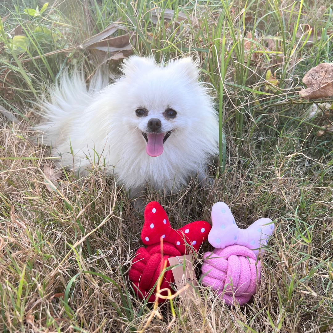 Colorful bowknot cotton rope pet toy, handwoven for play and fun. Ideal for your furry friends!