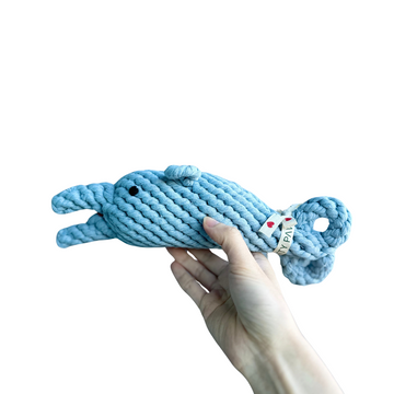 The dolphin dog toy