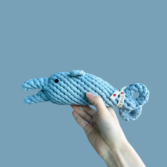 Dudu the dolphin dog toy