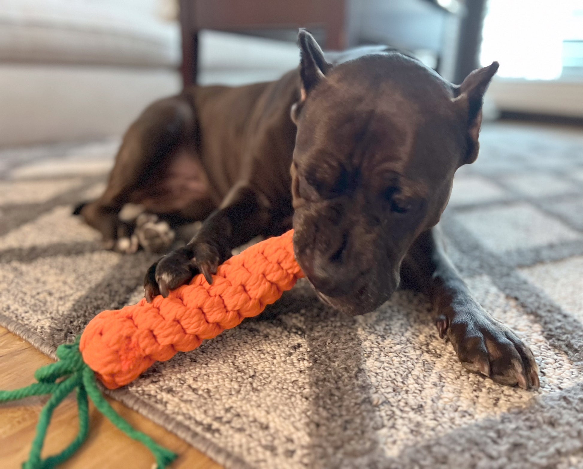 An orange large-sized pet toy made of carrot-shaped cotton rope. It&#39;s soft, colorful, and perfect for your furry friends to play and chew. A great choice for entertainment and exercise.