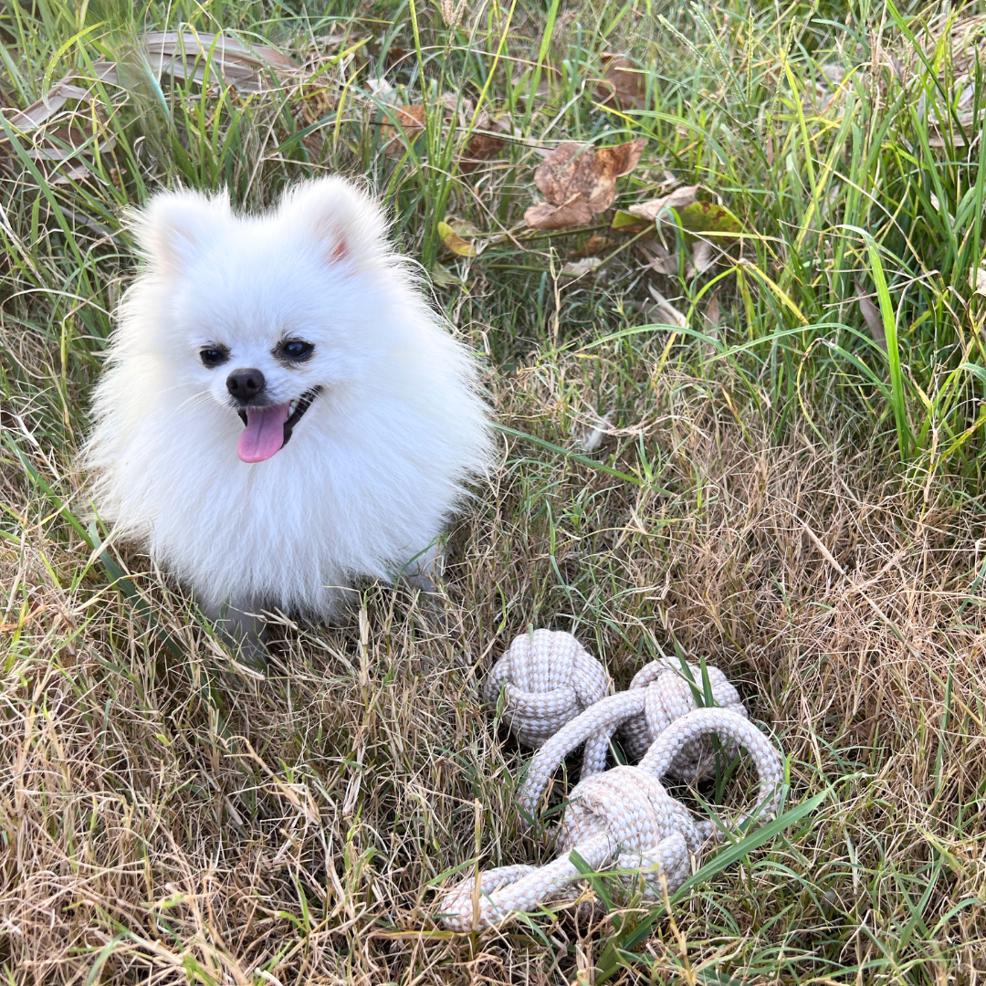 Hand-woven pet toy with hemp rope and cotton, ideal for interactive play.