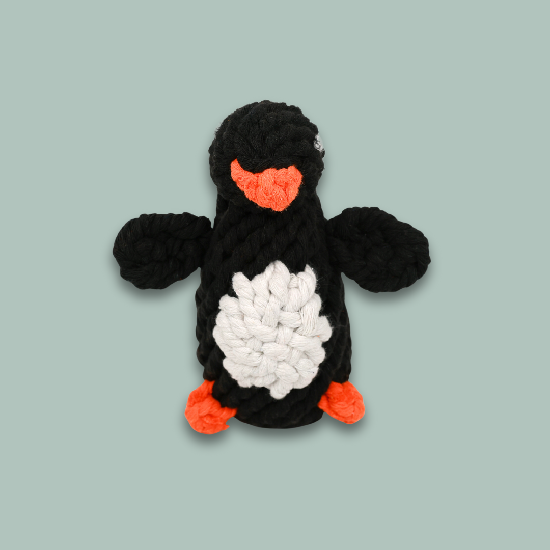 Colorful penguin-shaped pet toy made from durable cotton rope, perfect for chewing and playing. Safe and fun for dogs of all sizes. Eco-friendly and non-toxic.