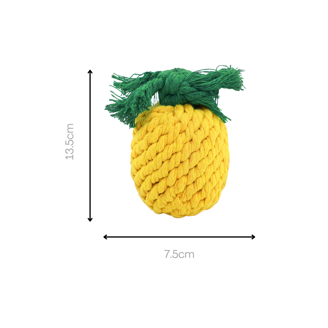 Colorful fruit-themed woven pet toy collection, perfect for playful pets. Includes durable, handmade toys shaped like strawberries, bananas, and pineapples, ensuring hours of fun and exercise for your furry friends.