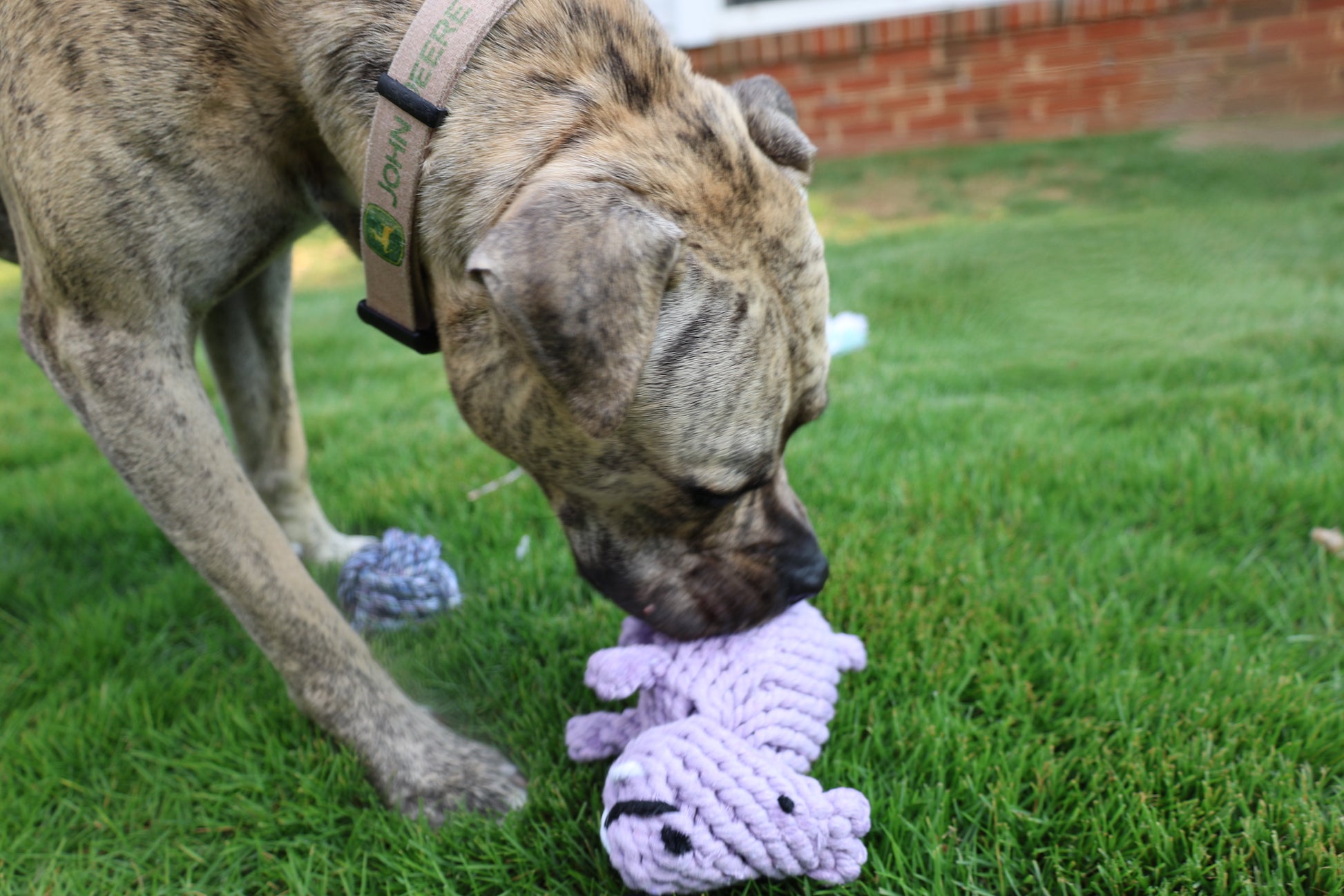 Handmade Sustainable Hippo Rope Toys, Dog Chew Toys, Purple Hippo Rope Chew Toy