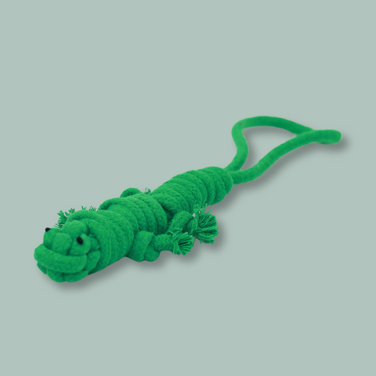 Owen the Green Lizard Rope Toy